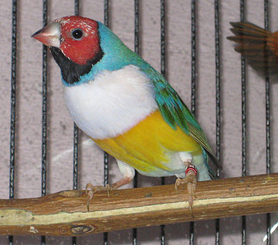 BoyJuly20a.jpg