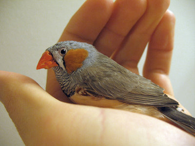 This is him.
