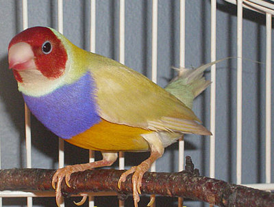 George010208a.jpg