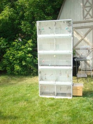 Ten Unit Cage.jpg