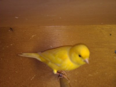 WP_000423.jpg