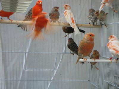IMG_1956.JPG