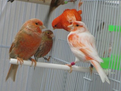 IMG_1958.JPG