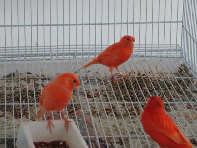IMG_1985.JPG