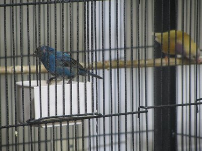IMG_0097.JPG