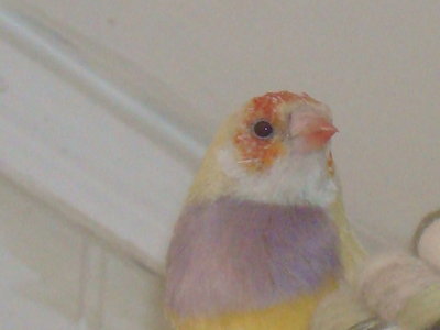 DSC04882.JPG