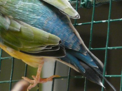 His rump again...