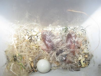 my baby had a baby 018.jpg