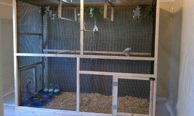 10-15 finished aviary.jpg