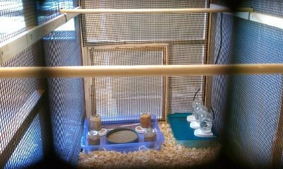 10-15 feeding station.jpg