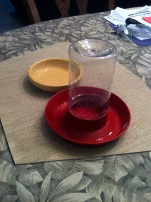 water source and bath dish