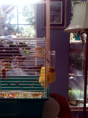 my favorite food dispenser