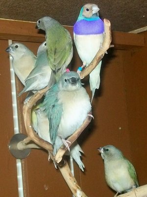 One big happy family 12-4.jpg