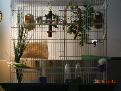 DSCN2917.jpg