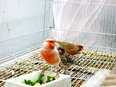IMG_2273.JPG