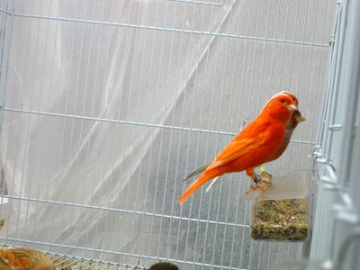 IMG_2289.JPG