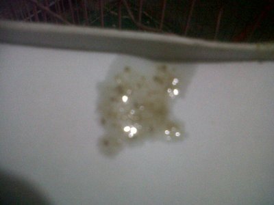 IMG00018-20121114-2019.jpg