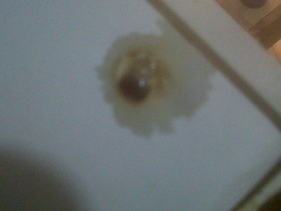 IMG00019-20121114-2157.jpg