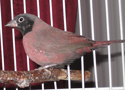 Dec0509a.jpg