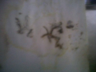 IMG00030-20121122-0807.jpg