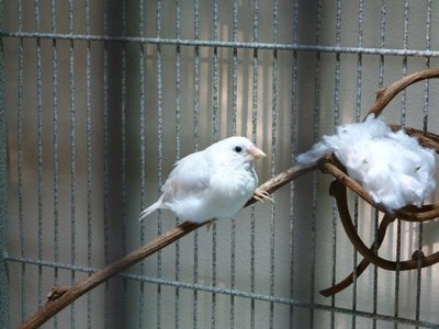 2012-12-02 010.JPG