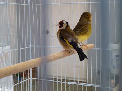 P1000064 (Small).JPG