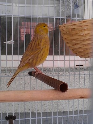IMAG0494 (Small).jpg