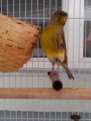 IMAG0490 (Small).jpg