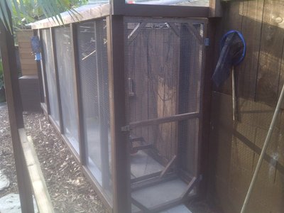 Avairy from enterance