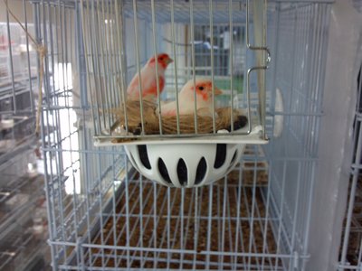 2012-12-27_15-13-41_868.jpg