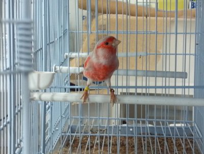 2013-01-02_16-06-09_152.jpg