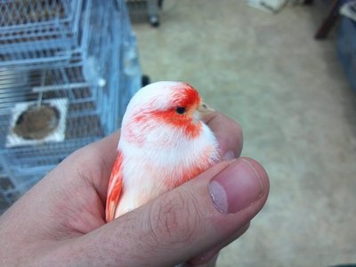 2013-01-02_16-24-27_435.jpg