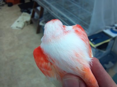 2013-01-02_16-25-06_326.jpg