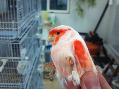 2013-01-02_16-25-22_663.jpg