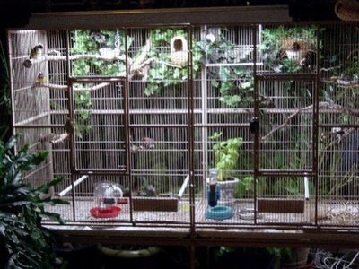 this is one cage.  Mine have casters to move easily.