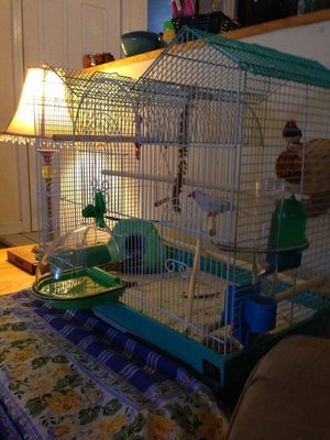 cage for forum.jpg
