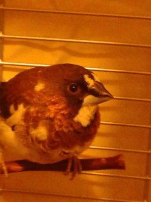 IMG_20130126_194431.jpg