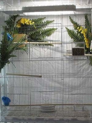 RHF new cage Dec 9.jpg