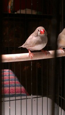 IMAG0845 (1).jpg