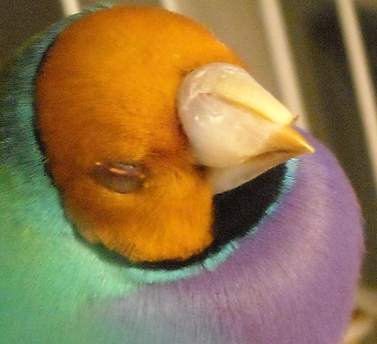 DSCN0004.JPG