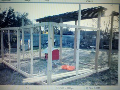 Aviary2.21.13.jpg