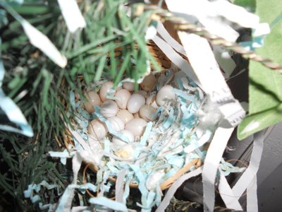 Nest with a plethera of eggs 002.JPG