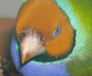 DSCN0003.JPG