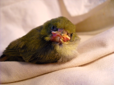 DSCN1558.JPG