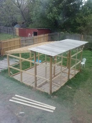 Aviary4.8.13.jpg