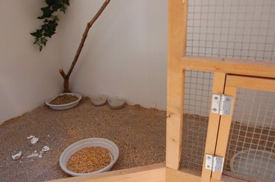 aviary0001 (2).JPG