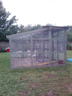 Aviary5.9.13.jpg