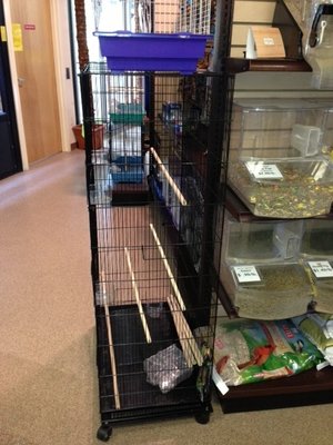 new cage.JPG