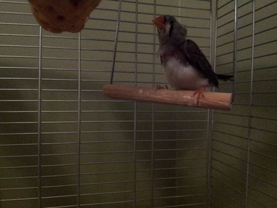 2013-05-23 20.37.26.jpg