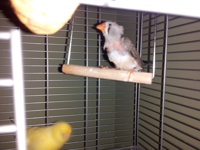 2013-05-23 20.37.14.jpg